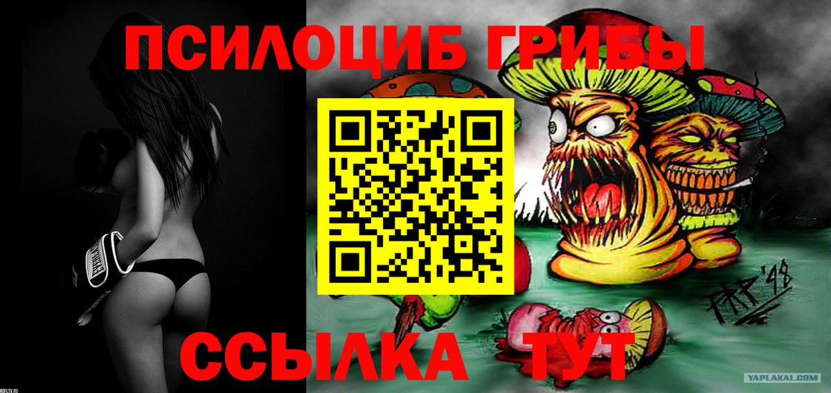 Арзамас  Галлюциногенные грибы прущие грибы  где продают наркотики  Вход с VPN  Псилоцибиновые грибы ЛСД 