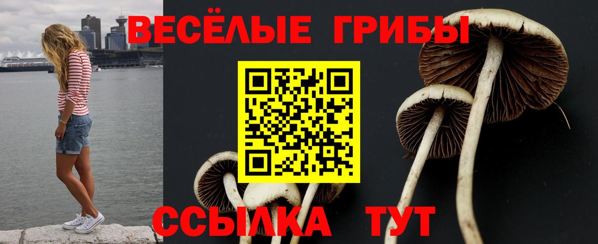 Псилоцибиновые грибы ЛСД Арзамас