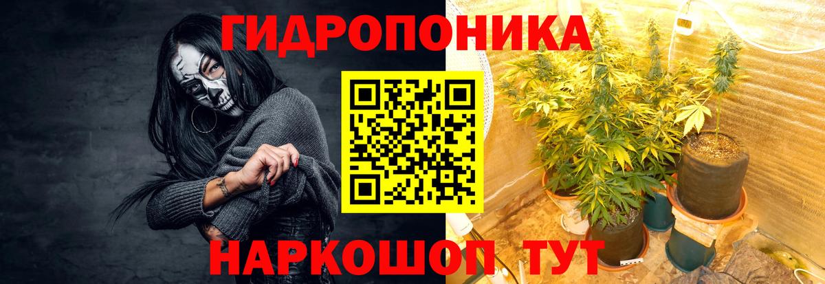 Арзамас  Бошки марихуана OG Kush  Каннабис семена  Вход с VPN  МАРИХУАНА план 